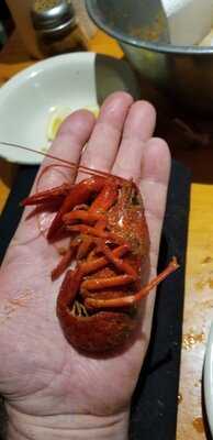 Bayou City Seafood & Pasta