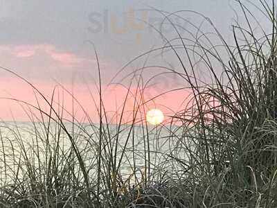 Lido Key Tiki Bar & Public Beach