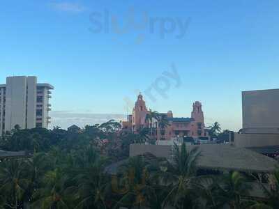 Buho Cocina Y Cantina