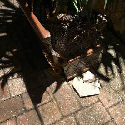 Rodizio Grill Sarasota