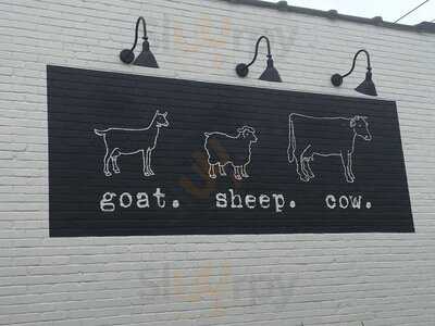 Goat Sheep Cow, North