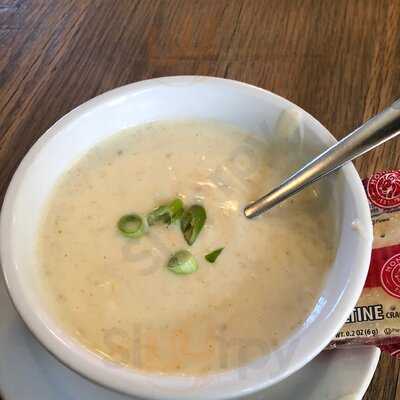 Brown Dog Deli On Calhoun