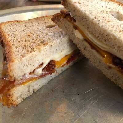 Brown Dog Deli On Calhoun