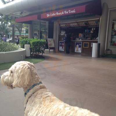 The Coffee Bean & Tea Leaf