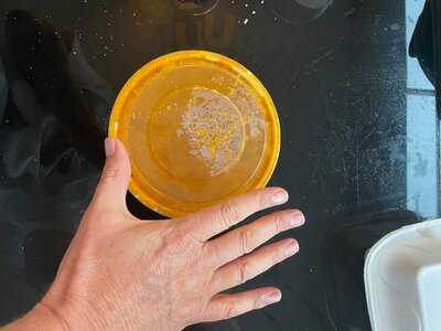 Maharaja Indian Cuisine