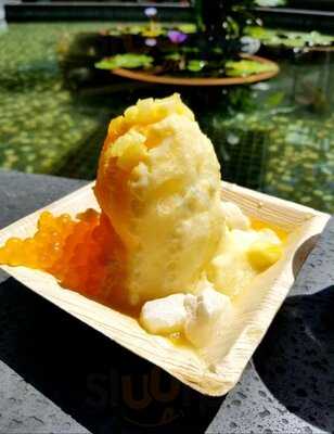 Island Vintage Shave Ice