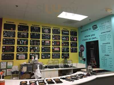 Cup Of Yo Frozen Yogurt