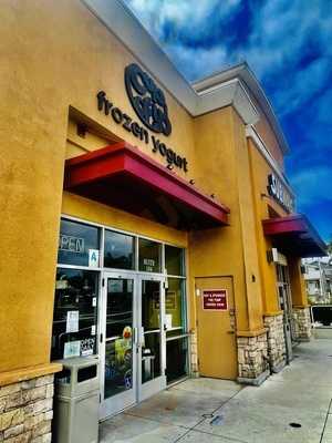 Cup Of Yo Frozen Yogurt