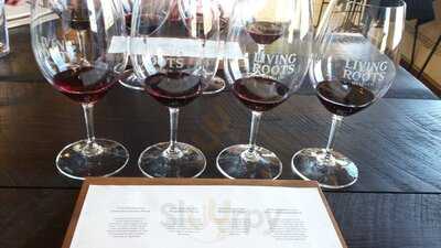 Living Roots Wine & Company