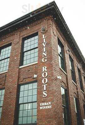 Living Roots Wine & Company