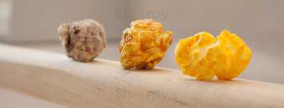 Tropical Shores Gourmet Popcorn Co.