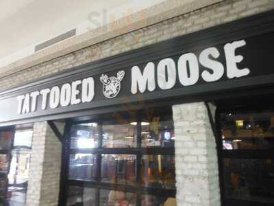 Tattooed Moose - West Ashley