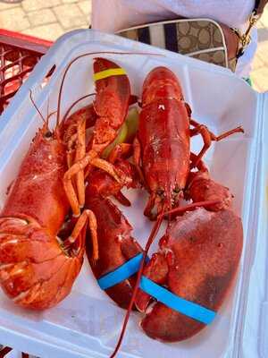 Bar Harbor Seafood