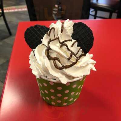 The Skinny Dip Frozen Yogurt Bar