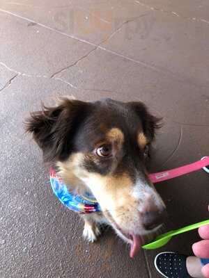 The Skinny Dip Frozen Yogurt Bar