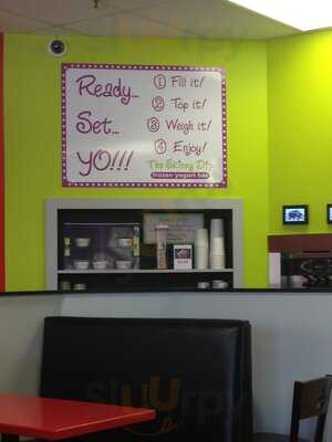 The Skinny Dip Frozen Yogurt Bar