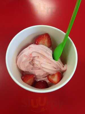 The Skinny Dip Frozen Yogurt Bar