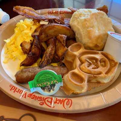 The Artist's Palette