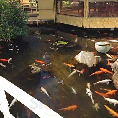 Pagoda Floating Restaurant