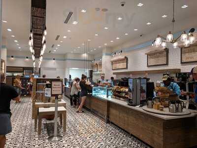 New Dutch Trading Company