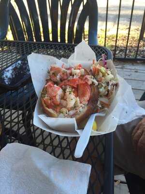 The Immortal Lobster