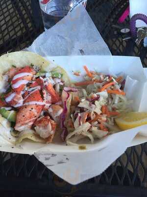 The Immortal Lobster