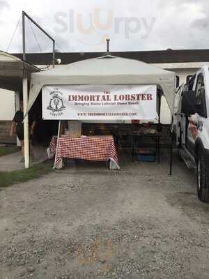 The Immortal Lobster