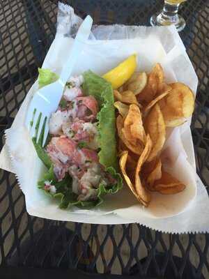 The Immortal Lobster