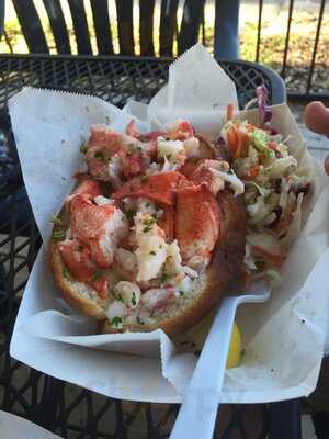 The Immortal Lobster