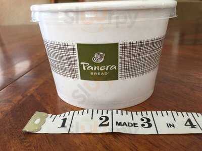 Panera Bread