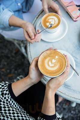 The Daily At The Gibbes Museum