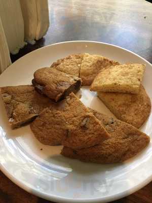 The Daily At The Gibbes Museum