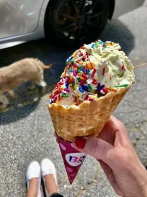 Baskin-robbins