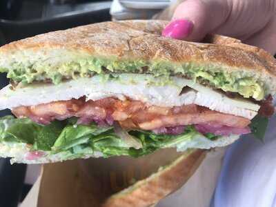 Sprout Sandwich Shop