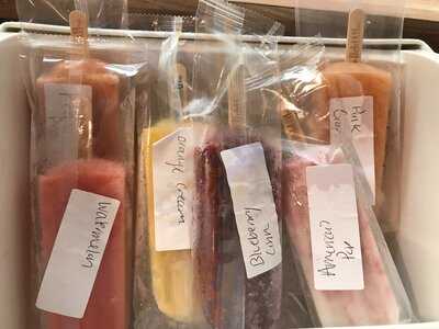 The Hyppo Gourmet Ice Pops