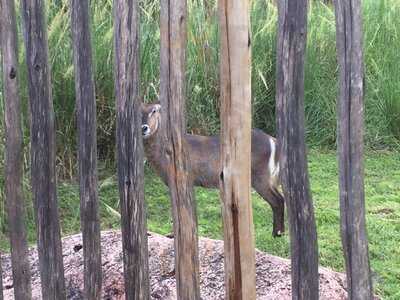 Victoria Falls Lounge