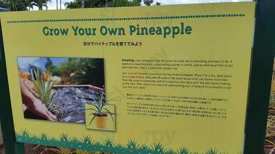 Dole Distribution Center