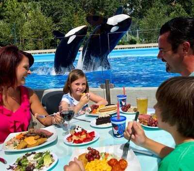 Shamu Rocks Dinner Buffet