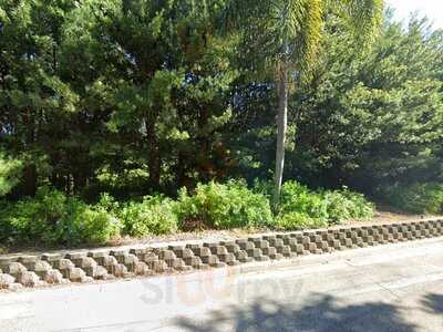 Shamu Rocks Dinner Buffet