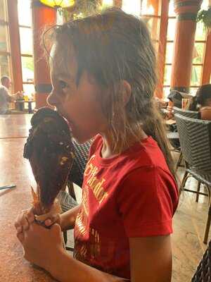 Thunder Falls Terrace