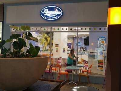Magnolia Ice Cream