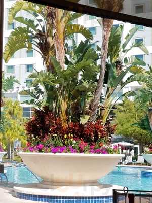 The Bistro At Hilton Orlando