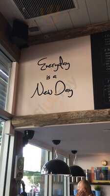 Bluetree Cafe Kapiolani