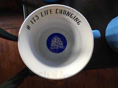 Bluetree Cafe Kapiolani