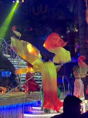 Mango's Tropical Cafe