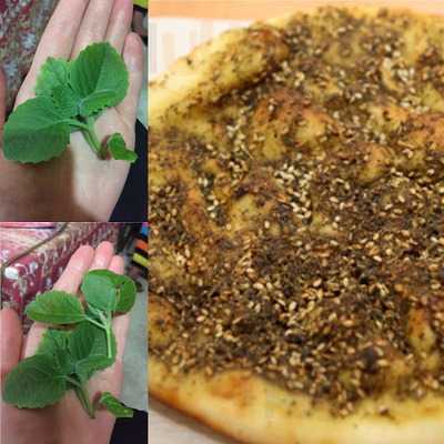 Sultan Restaurant Lebanese & Bakery