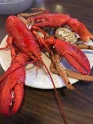 Boston Lobster Feast