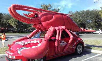 Boston Lobster Feast