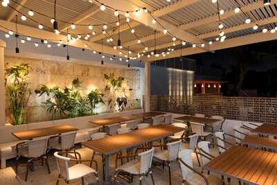 Wink Wink Modern Lounge