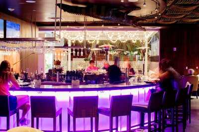 Wink Wink Modern Lounge